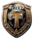 FC TEMP SHEPETIVKA logo